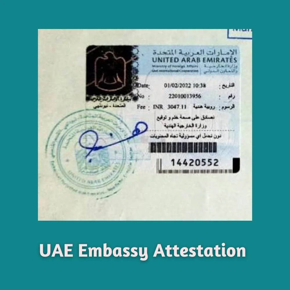 MEA Attestation Services